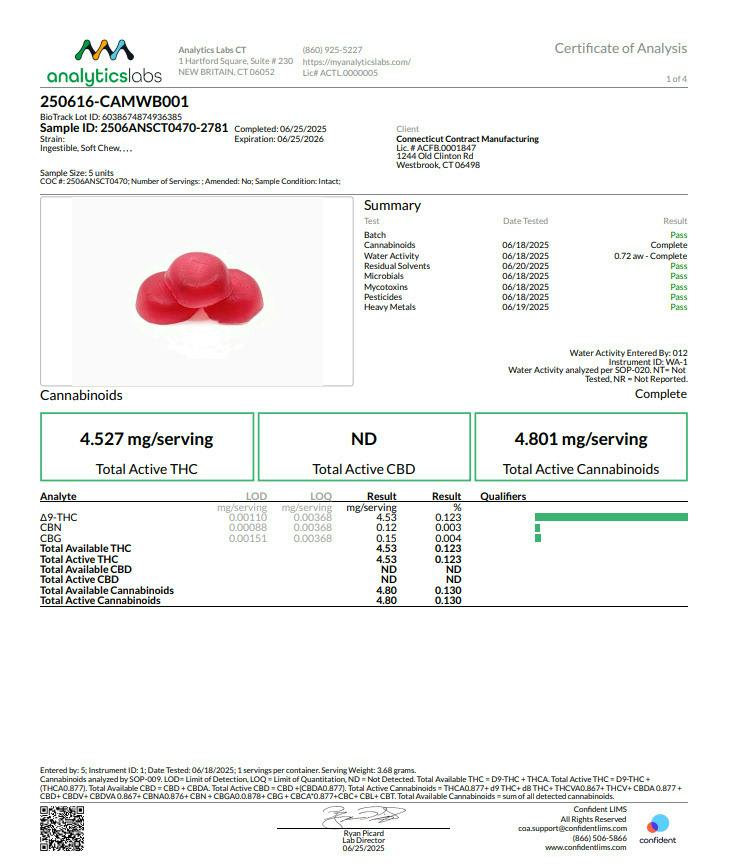 Camino Wild Berry Gummies 100mg (20-Pack | 5mg Each) (00205)