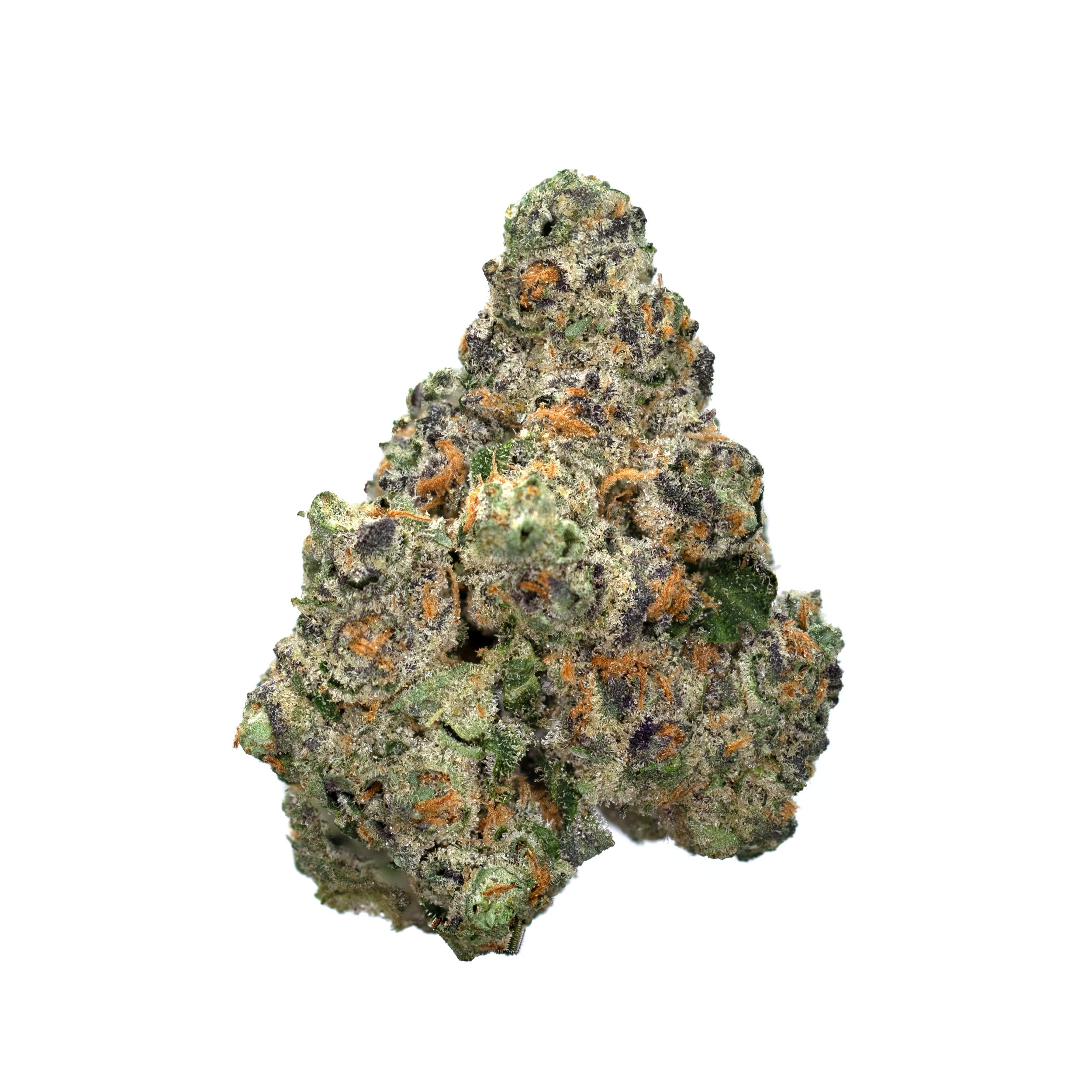 Highbrow | Gary Payton | Flower | 3.5g