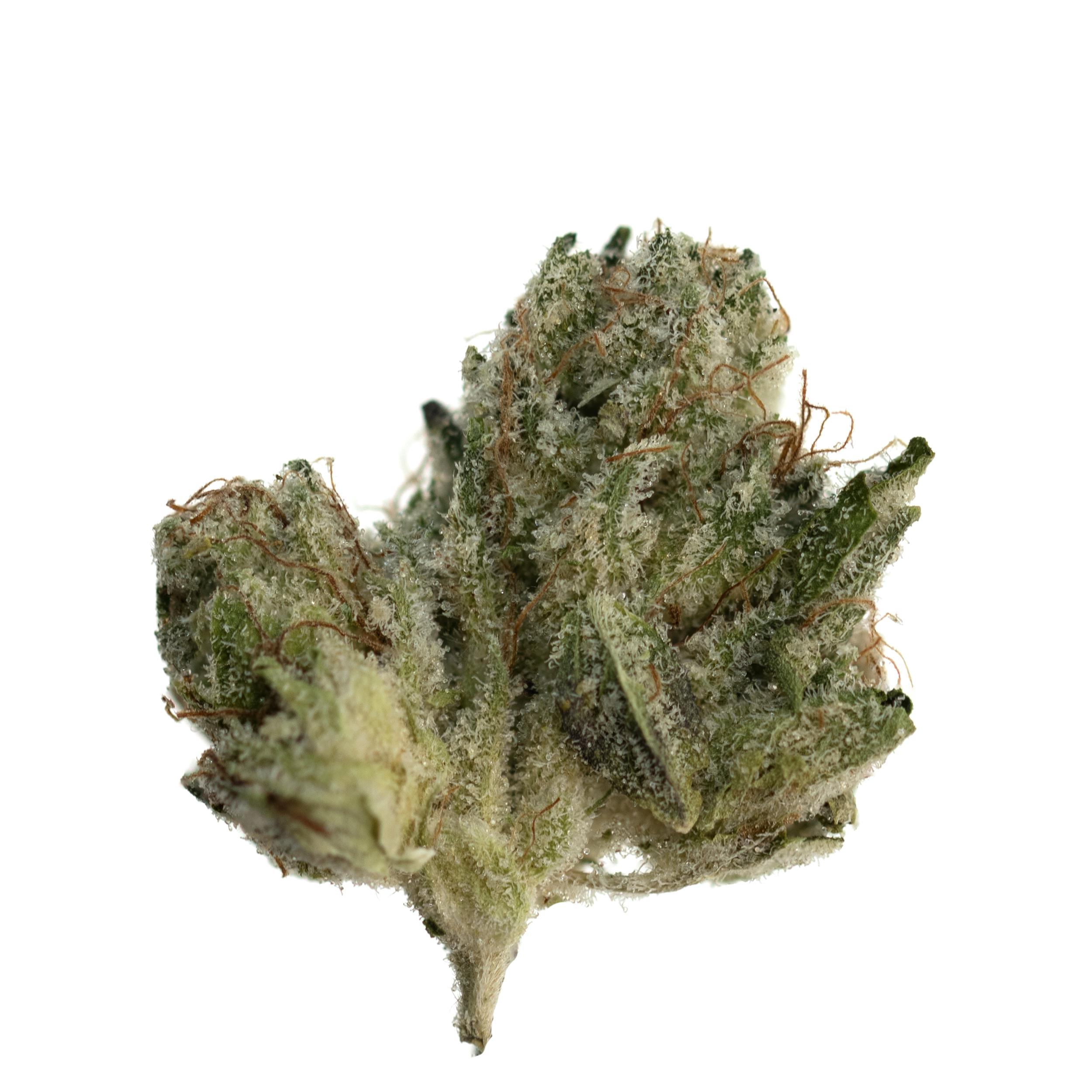 Crooked Jaw | GG4 | Flower | 3.5g