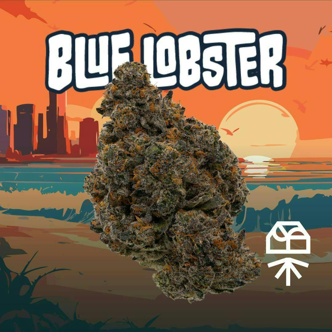 Grassroots Dime Bag- Blue Lobster(H)