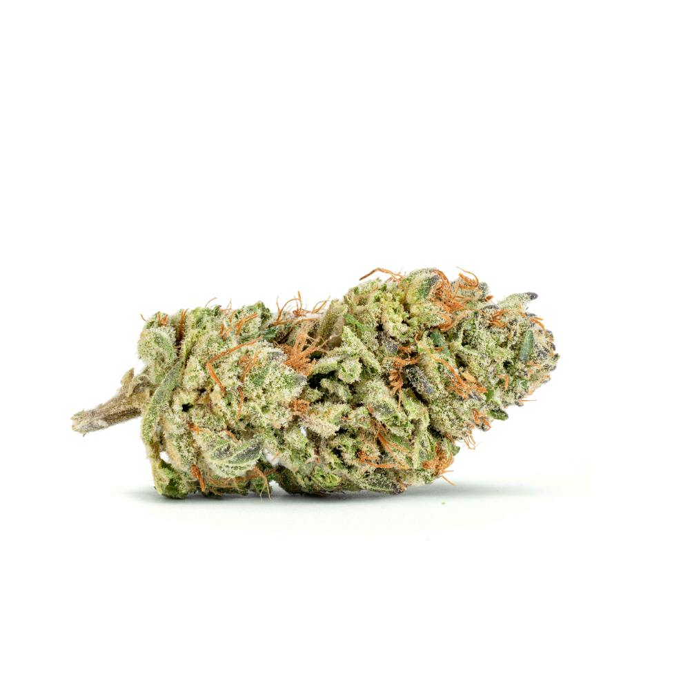 Key Lime Jack | Glass House Farms - Flower