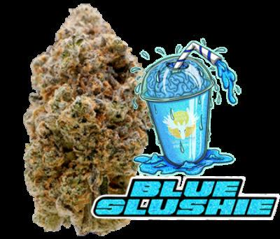 Blue Slushie | Premium Flower