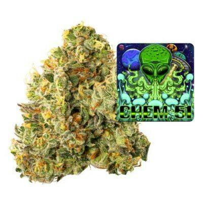 Chem 51 | Premium Flower