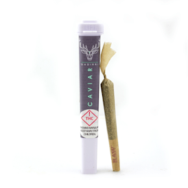 Dadirri - Caviar Cone - 1 gram - - Banana Pancakes (H)