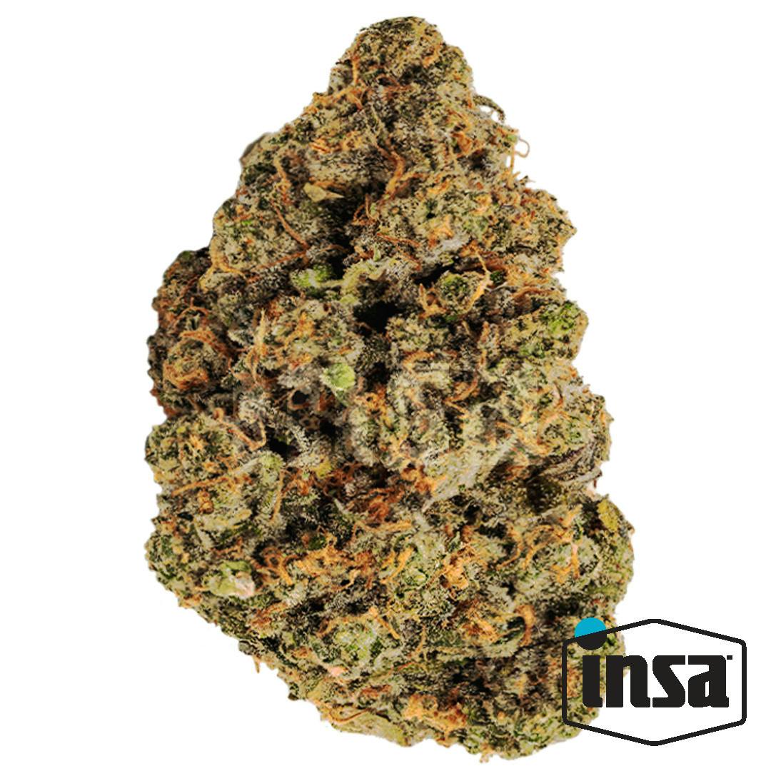 Gelato 33 Flower