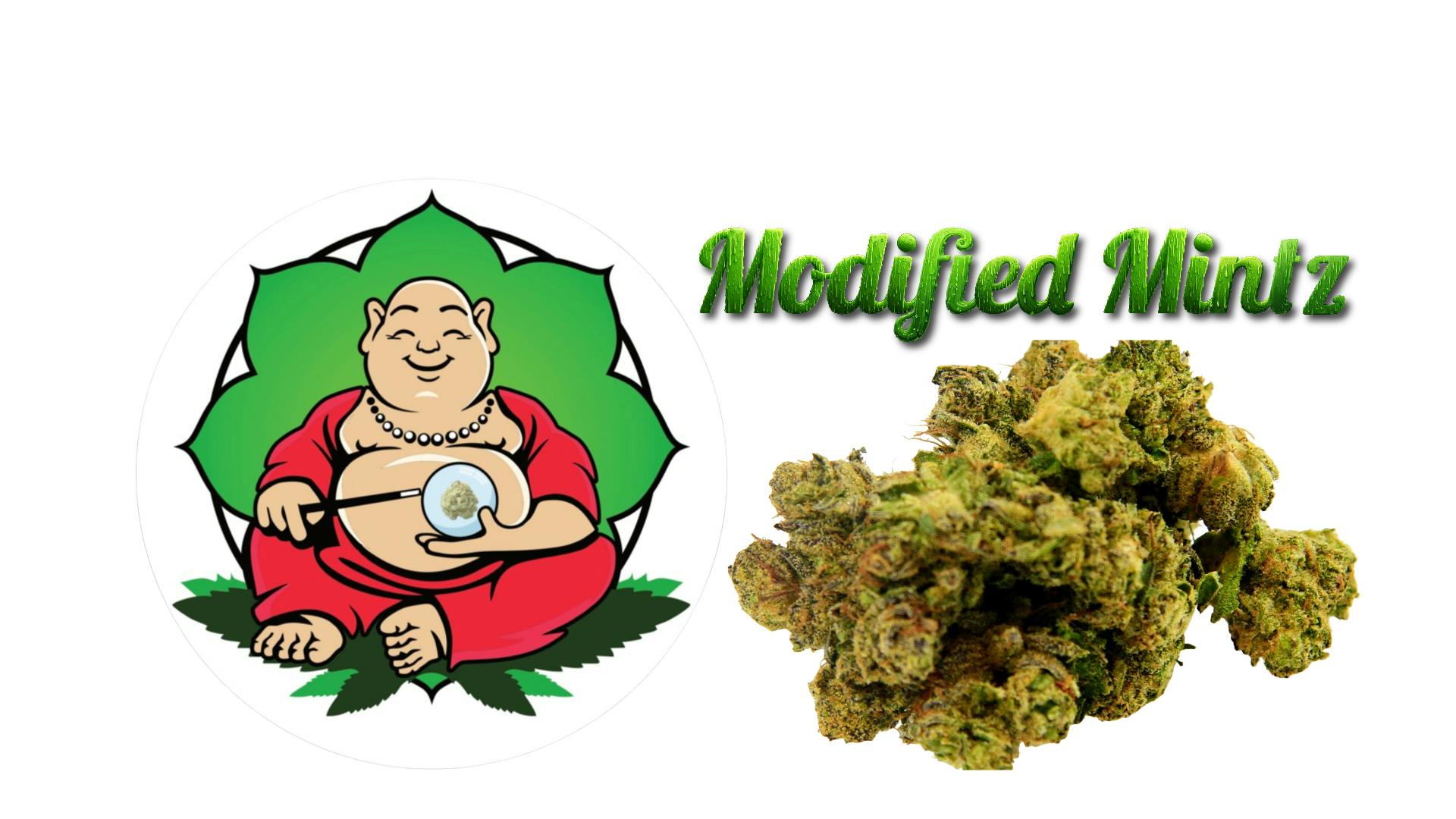 Modified Mintz | Flower | 3.5g | Premium A-Buds
