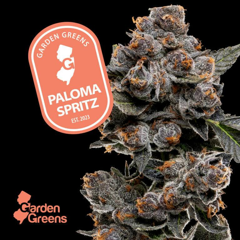 Paloma Spritz Big Bud