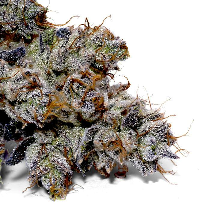 Gaslight OG