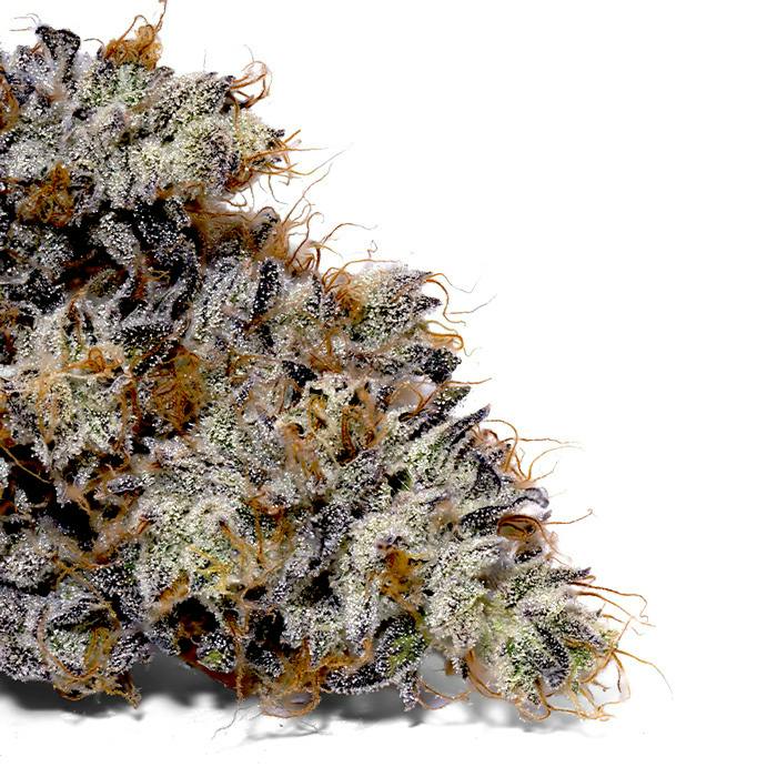 Nacho Weed