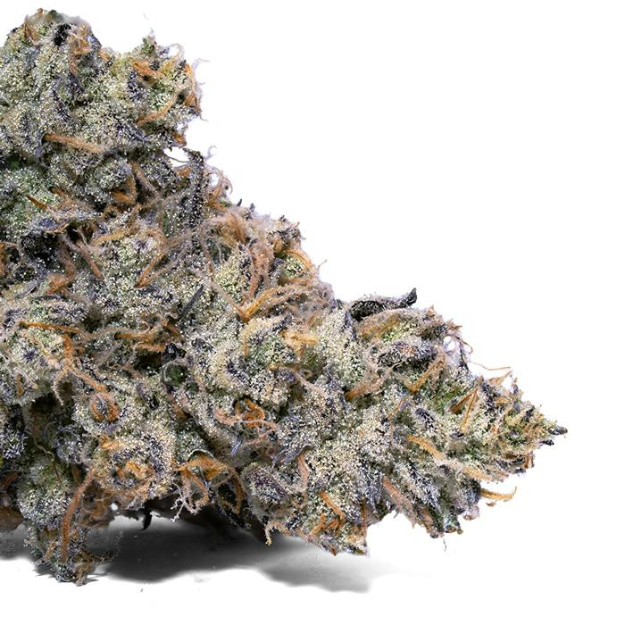 Tangerine Scream