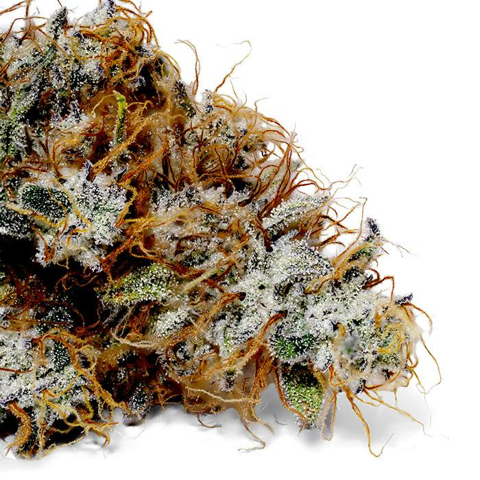 Spitfire OG