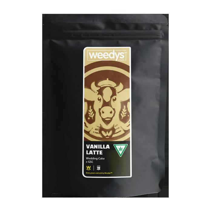 Vanilla Latte