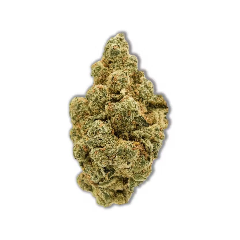 BYG Cannabis | Flower | 3.5g | SUNDAE STALLION (S) at The Green Door Dispensary