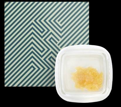 BLOTTER | Concentrates | 1g. | GRASSHOPPER GLUE (H) at The Green Door Dispensary