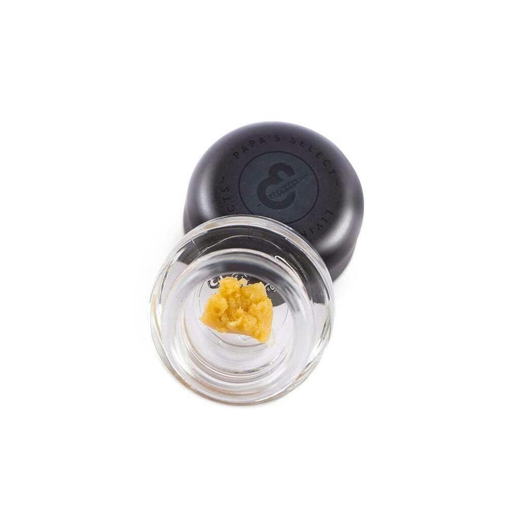 Roasted Garlic Margy | Papa's Select - Live Rosin