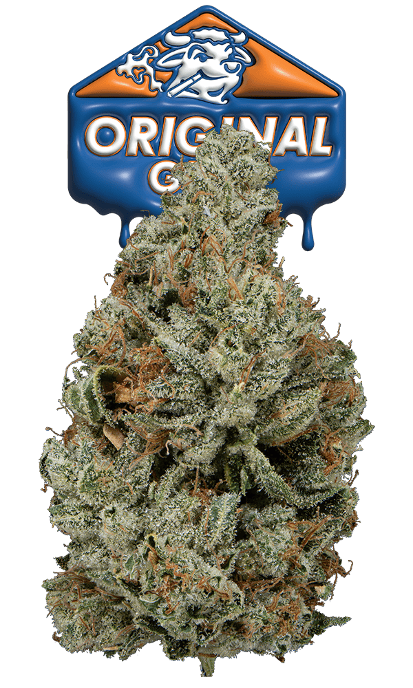 Original Glue Eighth