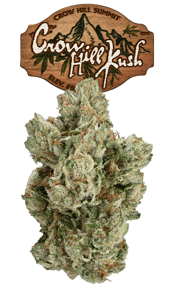 Crow Hill Kush Eighth