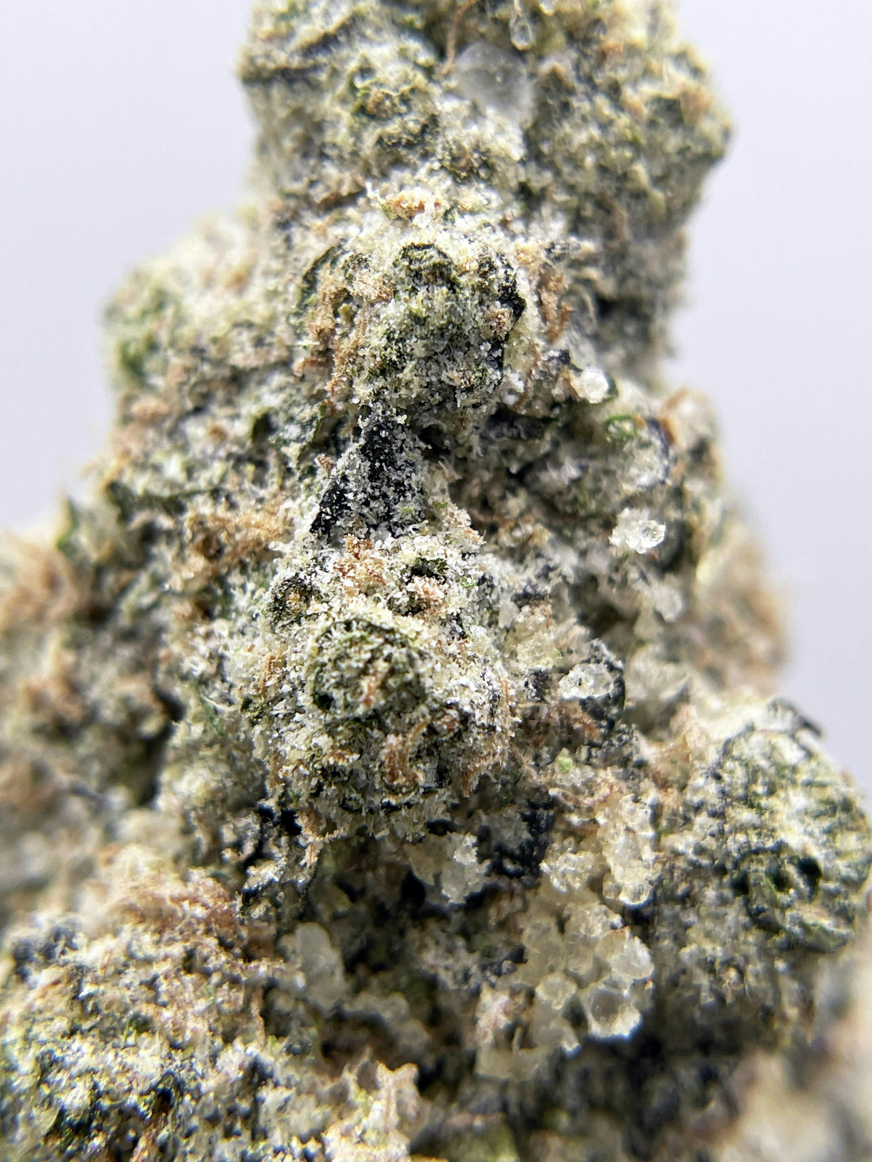 Black Pearl Diamond Coated
