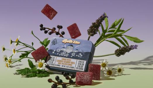 Kwik - Zzzs Elderberry - Gummies 100 mg THC/CBN