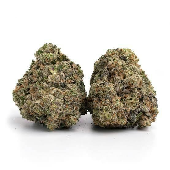SUMMIT - Black Cherry Soda (H) - Select
