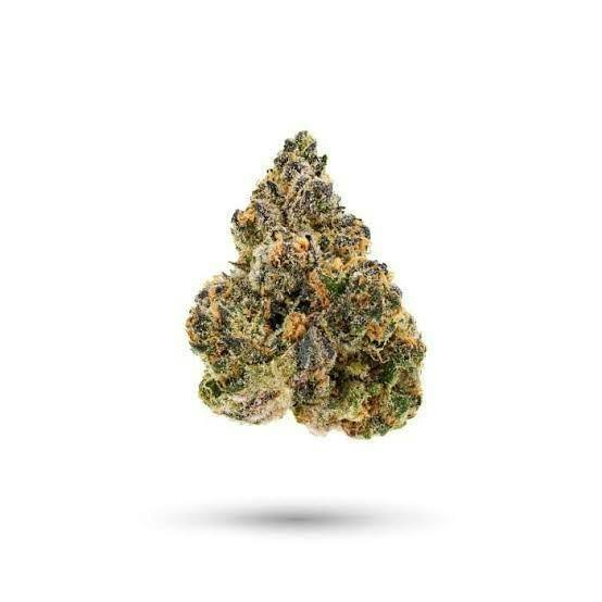 SUMMIT - Rainbow Chip (H) - Choice