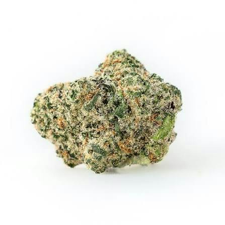 Summit - Grape Bubblegum (I) - Shake