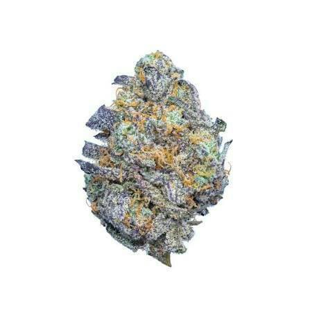 Hummingbird - LA Kush (IH) - Select