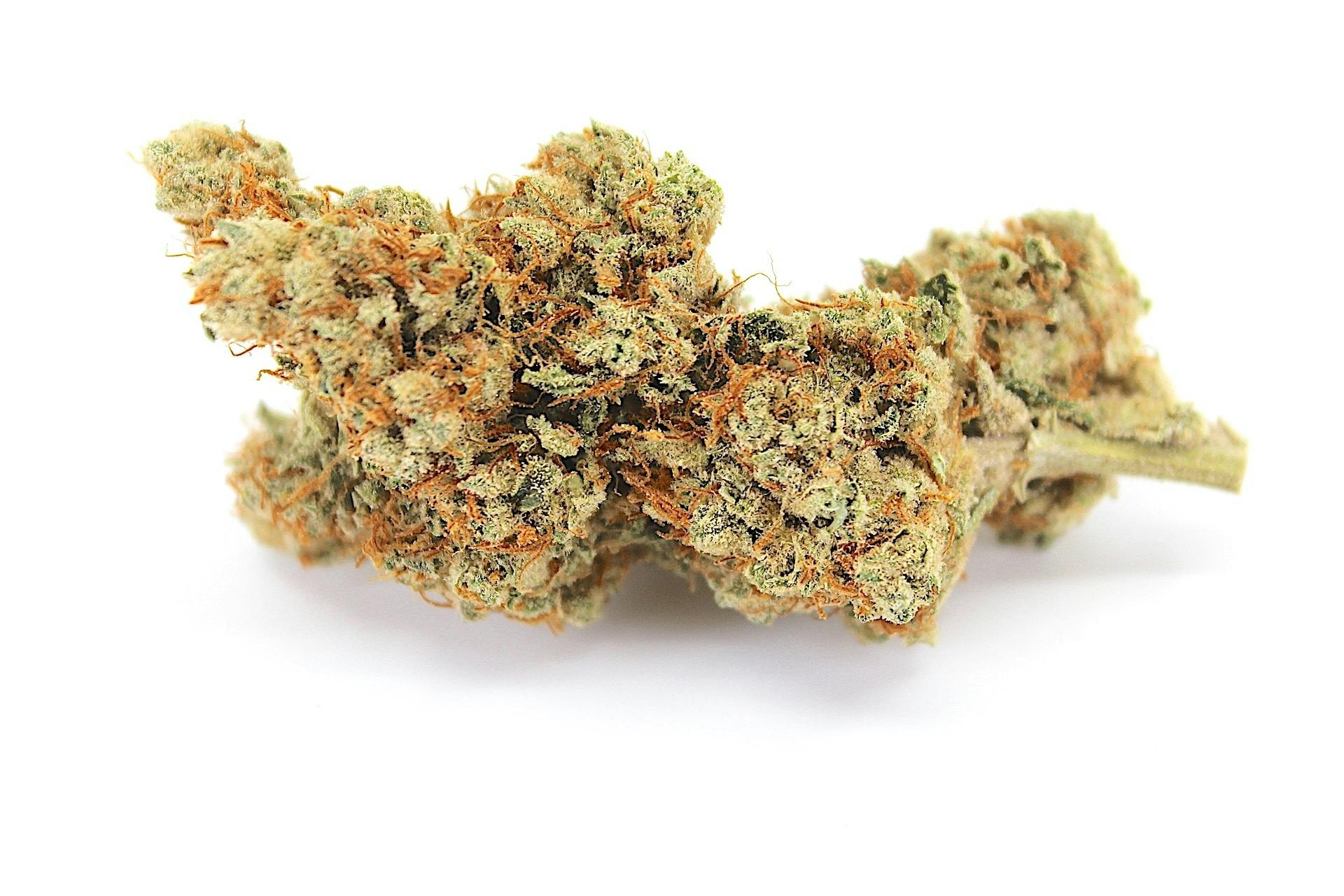 White Widow: Anthos