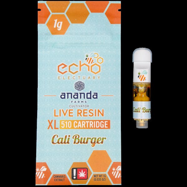 Echo Electuary: Cali Burger