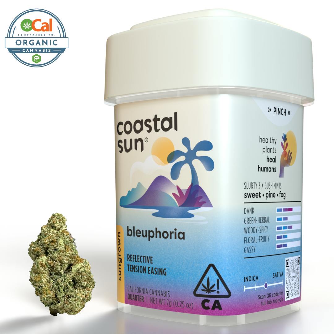 Coastal Sun Bleuphoria (H) Sungrown Flower 7g