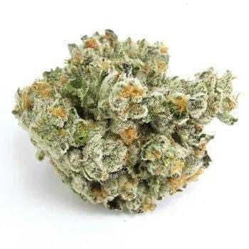 Gas Face OG