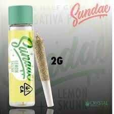 Sundae - Lemon — Skunk