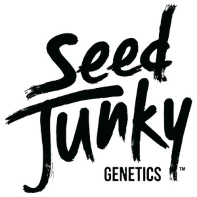 Seed Junky - 3.5g Prepack - Tanghulu