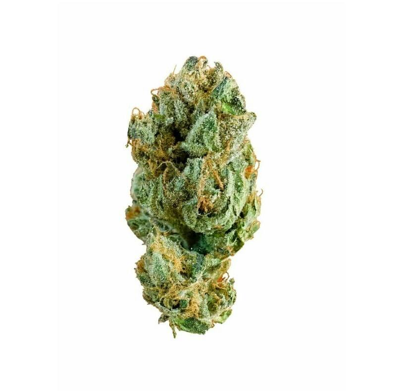 Status: Sour Worms