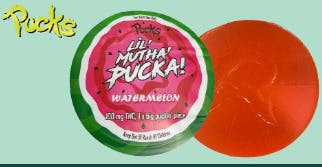 Pucks - Gummies - Lil Mutha Pucka - Watermelon (H) (100mg)