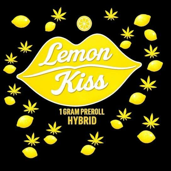 Akron Bloom | Pre-roll | Kief Infused | Hybrid | Lemon Kiss at Simply Green