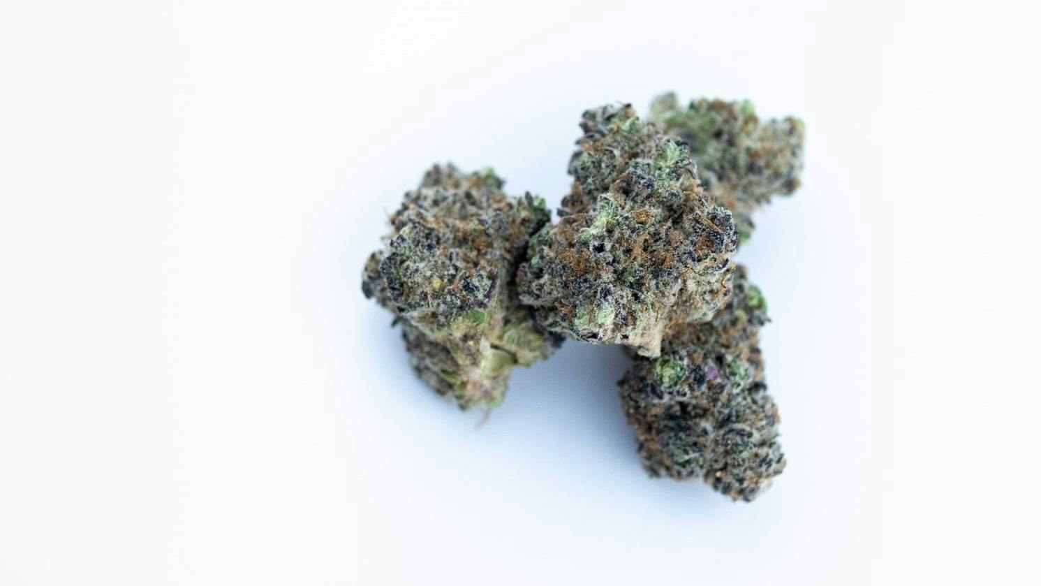 Wedding Cake x Black Widow | Bountiful Farms |