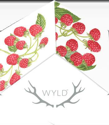 Raspberry Gummies | 10 Pack