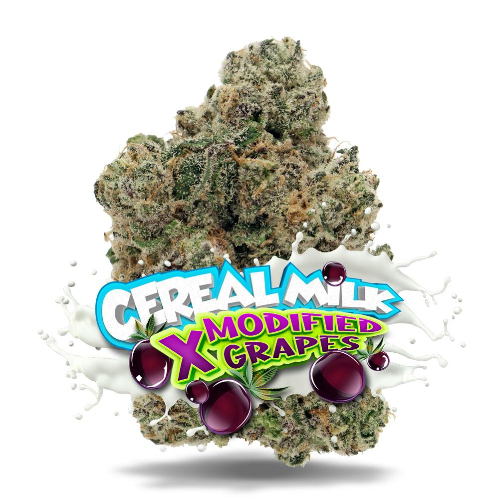 Cereal Milk x Modified Grapes #4 - 1/8 oz Premium Flower