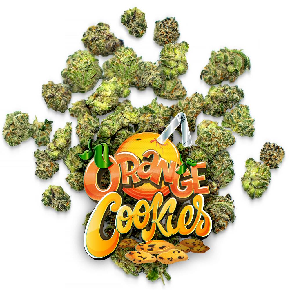 Orange Cookies - 1/4 oz Pops