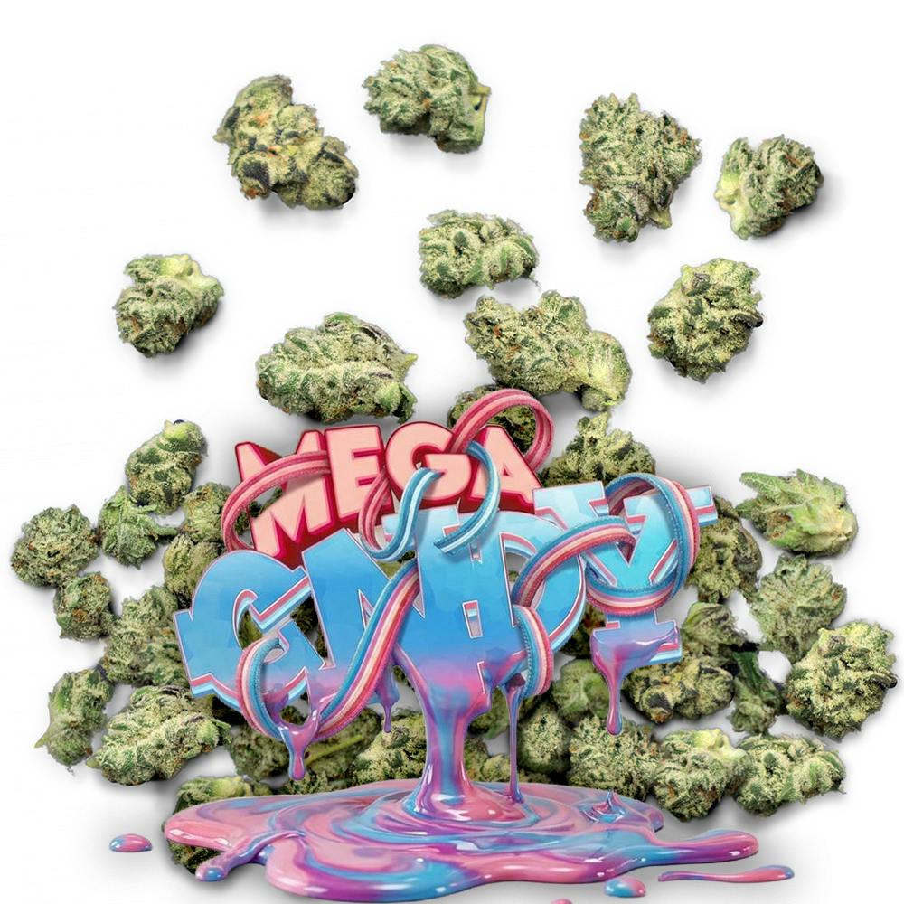 Mega Cndy - 1/4 oz Pops