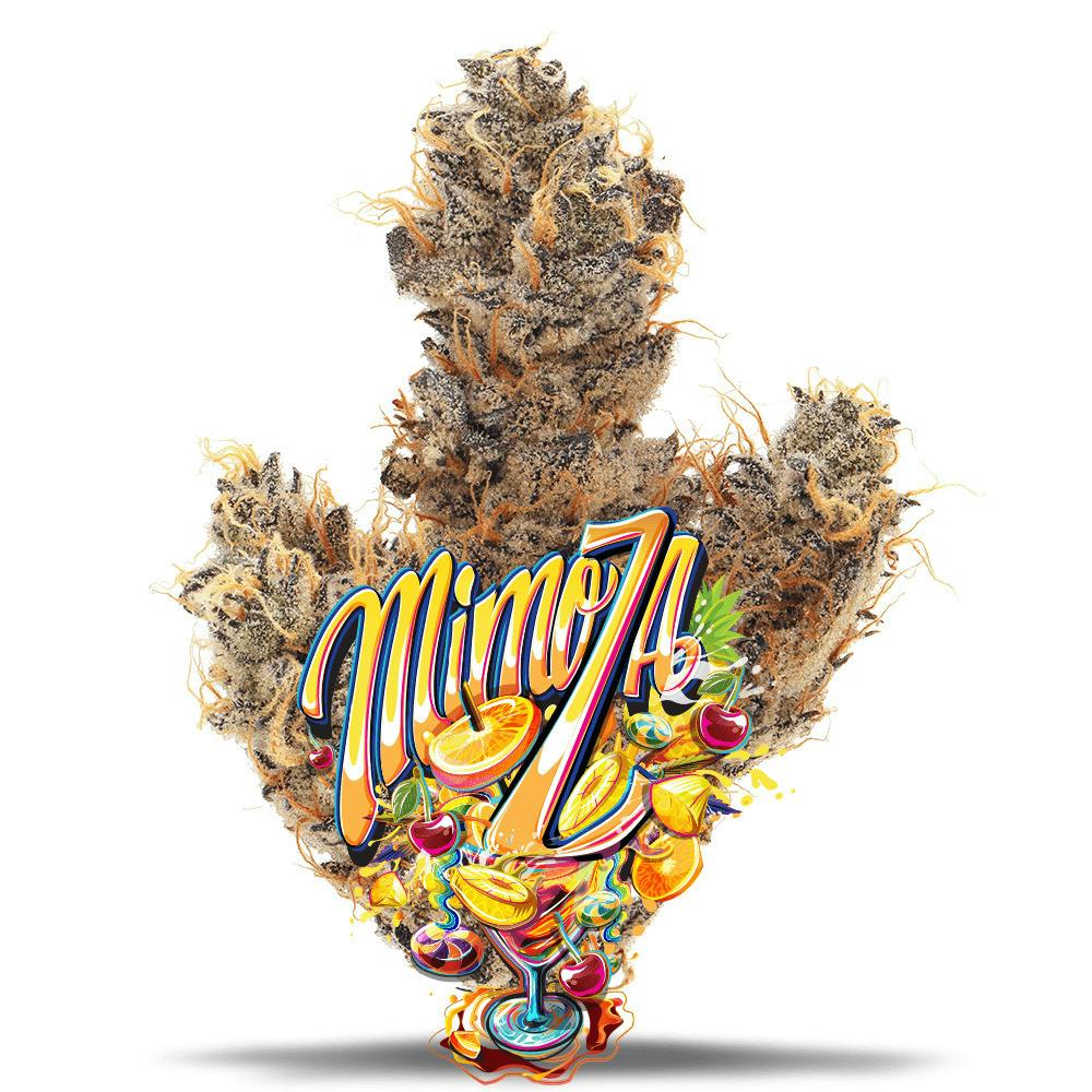 Mimoza - 1/8 oz Premium