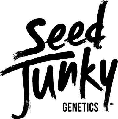 SEED JUNKY — Genetics - - Bonfire
