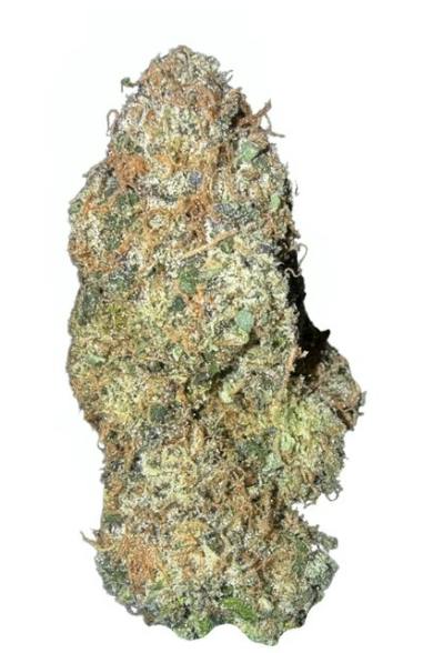 Black Maple - 3.5G Flower