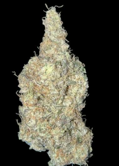 Donny Burger - 3.5G Flower
