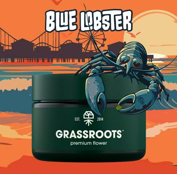 Blue Lobster - 3.5G Flower
