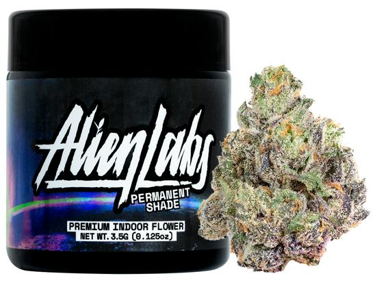 Permanent Shade - 3.5G Flower