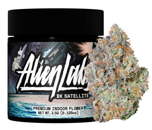 BK Satellite - 3.5G Flower
