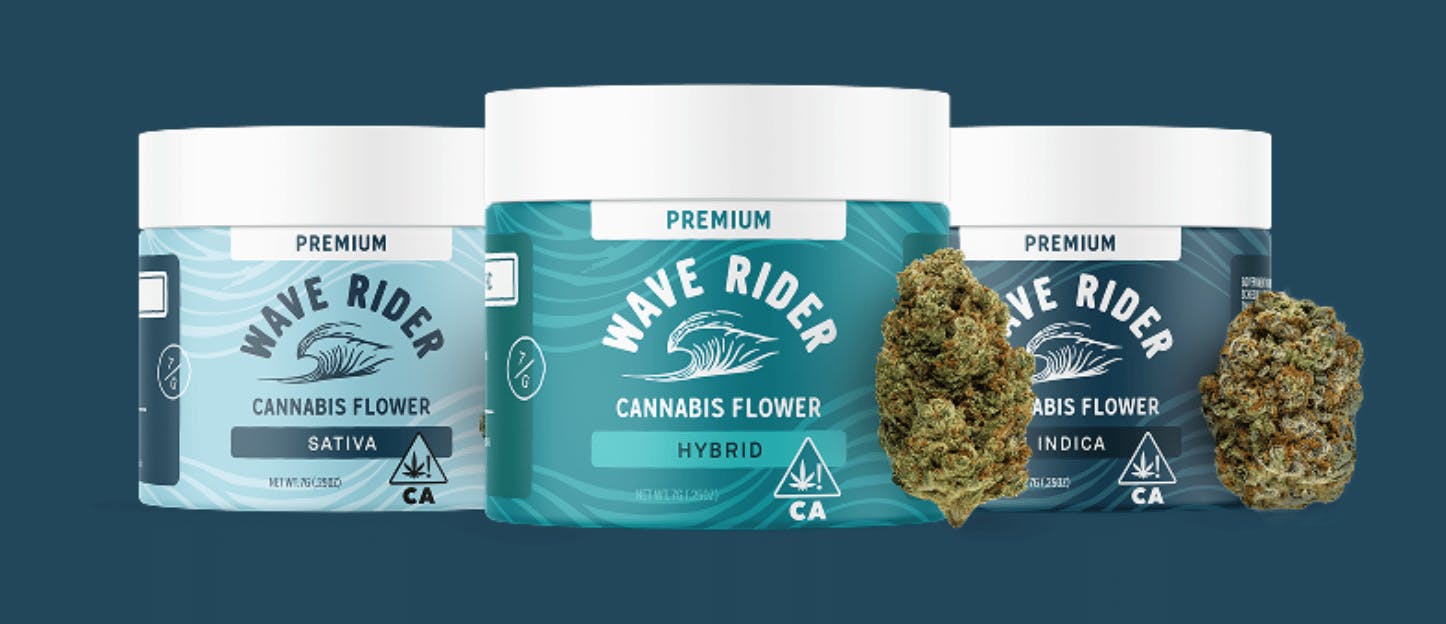 wave rider - — Chico Verde
