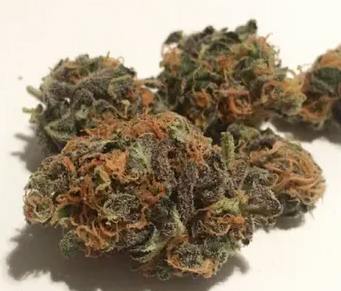 Broken Coast - Amnesia Haze